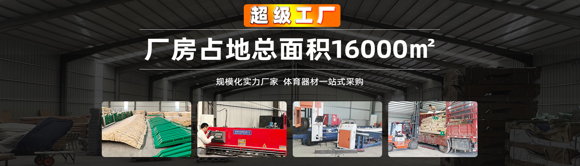 NG体育运动器材-乒乓球器材类